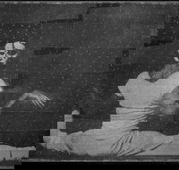 David Noonan Stagecraft - Palm Beach Accommodation