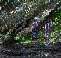 Elephant Trail Race - Palm Beach Accommodation