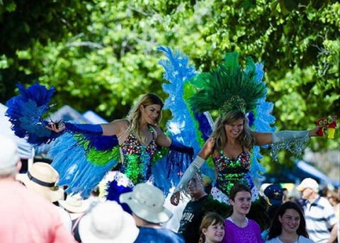 Family Fun Carnivale - Palm Beach Accommodation 0