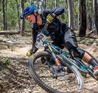 Fox Superflow sealed by Stan's Race  Ipswich - Palm Beach Accommodation