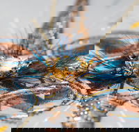 French Art Embroidery Course - Palm Beach Accommodation