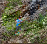 Goldrush Trail Runs - Palm Beach Accommodation
