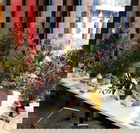 Grampians Wildflower Show - Palm Beach Accommodation