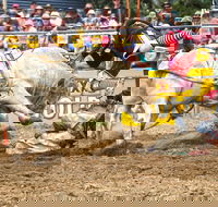 Jindabyne's Man From Snowy River Rodeo - Palm Beach Accommodation
