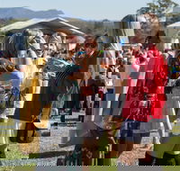Lovedale Long Lunch - Palm Beach Accommodation