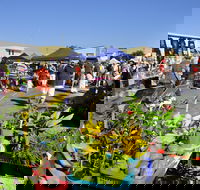 Maclean Community Monthly Markets - Palm Beach Accommodation