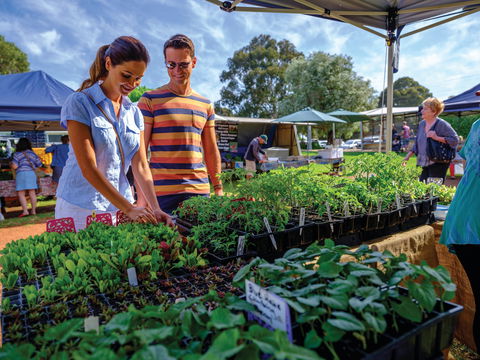 Margaret River Farmers Market - Palm Beach Accommodation 1