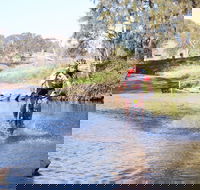 Mountain Man Tri Challenge - Palm Beach Accommodation
