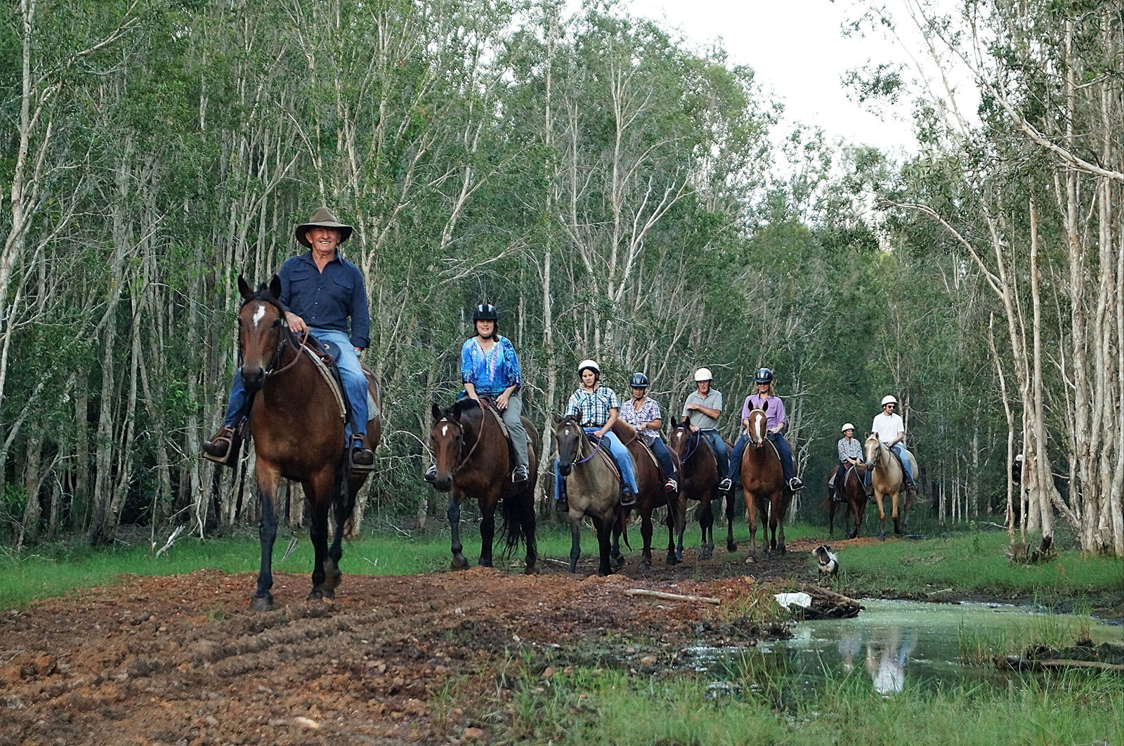 Susan River QLD Palm Beach Accommodation
