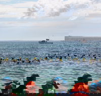 Nowra Toyota triHusky Huskisson Triathlon Festival Little Husky - Palm Beach Accommodation