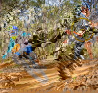 NSW State Downhill Mountain Bike Championships - Palm Beach Accommodation