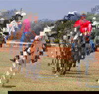 Pride of the West Races 2020 - Palm Beach Accommodation