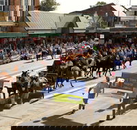 Scone Horse Festival - Palm Beach Accommodation