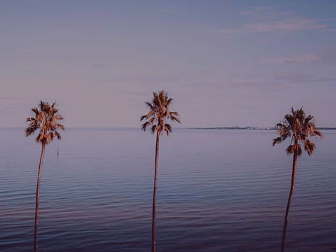 Sunset Streaming Live DJ Streams - Palm Beach Accommodation 0