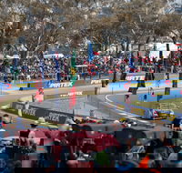 Supercars Supercheap Auto Bathurst 1000 - Palm Beach Accommodation
