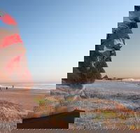 SWELL Sculpture Festival - Palm Beach Accommodation