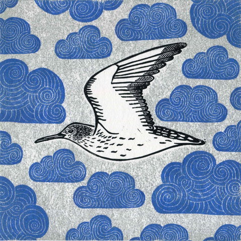 The Overwintering Project: Kingborough - Palm Beach Accommodation 0