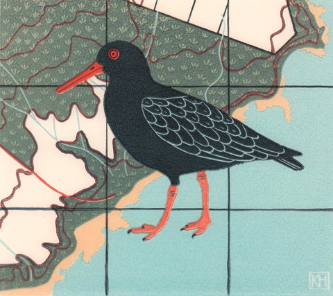 The Overwintering Project: Kingborough - Palm Beach Accommodation 2