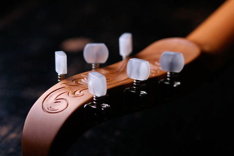 Traditional Irish Music Sessions - Palm Beach Accommodation 0