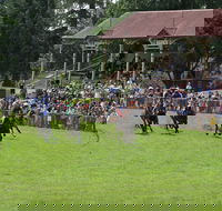 Tumut Derby Day - Palm Beach Accommodation