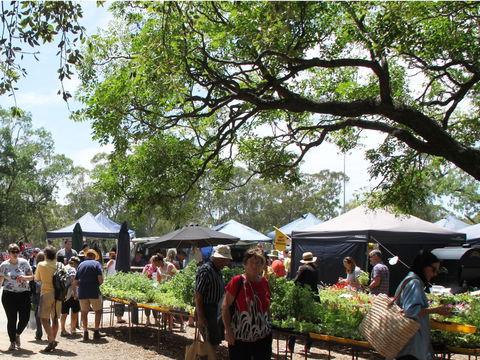 Violet Town Market - Palm Beach Accommodation 2