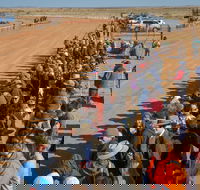 28th Marree Australasian CAMEL CUP 3 July 2021 - Palm Beach Accommodation