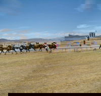 Adaminaby Cup Race Day - Palm Beach Accommodation
