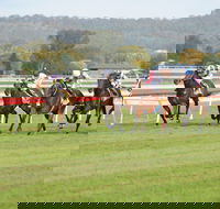Aggies Race Day - Palm Beach Accommodation