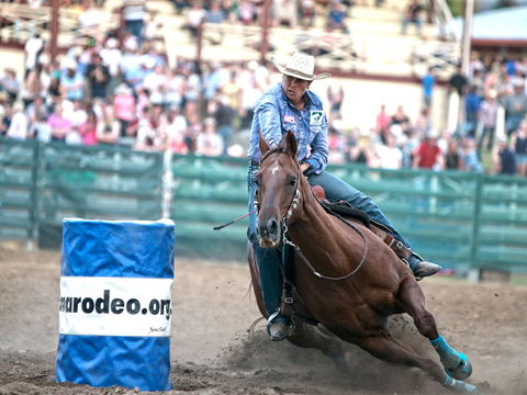 AgriWest Cooma Rodeo - Palm Beach Accommodation 1