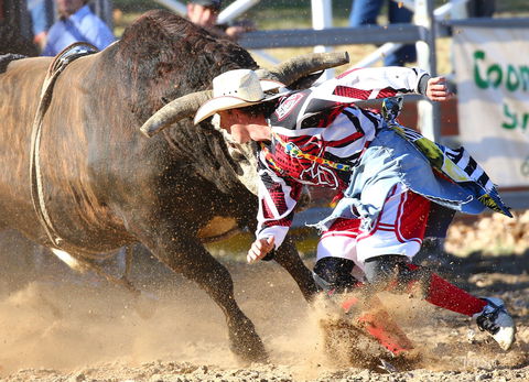 AgriWest Cooma Rodeo - Palm Beach Accommodation 2