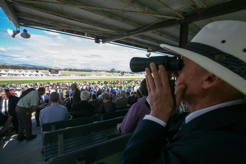 Albury Racing Club Boxing Day Races - Palm Beach Accommodation 1