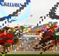 Ballina Boxing Day Races - Palm Beach Accommodation