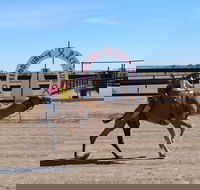 Bedourie Camel and Pig Races and Camp oven Cook-off - Palm Beach Accommodation