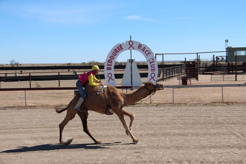 Bedourie Camel And Pig Races And Camp Oven Cook-off - Palm Beach Accommodation 0