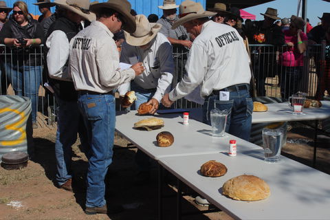 Bedourie Camel And Pig Races And Camp Oven Cook-off - Palm Beach Accommodation 2