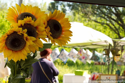 Blackville Arts And Market Day - Palm Beach Accommodation 0