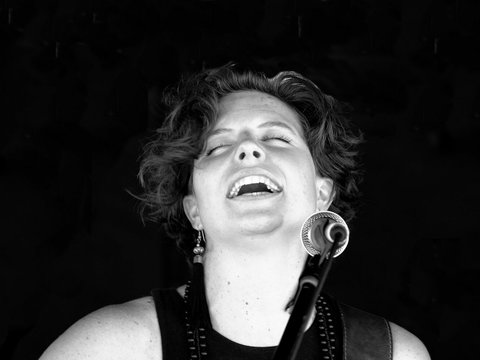 Blues And Berries Festival - Palm Beach Accommodation 1