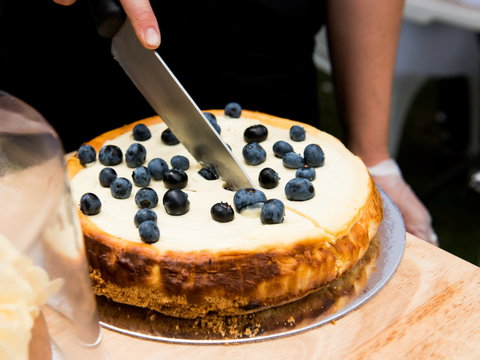 Blues And Berries Festival - Palm Beach Accommodation 2