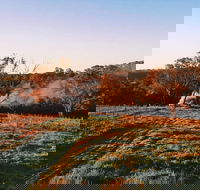 Cargo Road Wines Grande Fiamma - Palm Beach Accommodation