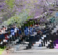 Celtic Festival of Queensland - Palm Beach Accommodation