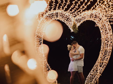 Christmas Lights Spectacular At Hunter Valley Gardens - Palm Beach Accommodation 0