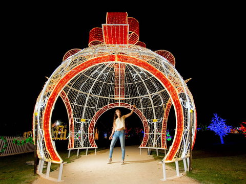 Christmas Lights Spectacular At Hunter Valley Gardens - Palm Beach Accommodation 1
