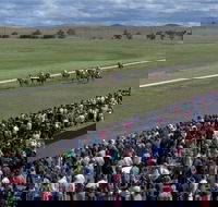 Cooma Sundowners Cup - Palm Beach Accommodation