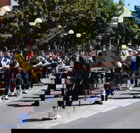 Corowa Rotary Federation Festival Parade - Palm Beach Accommodation