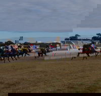 Corowa Horseraces - Palm Beach Accommodation