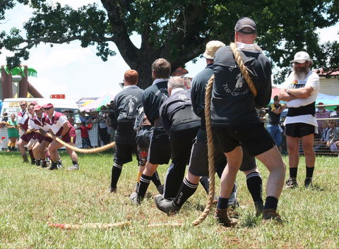 Dorrigo Agricultural Show - Palm Beach Accommodation 1