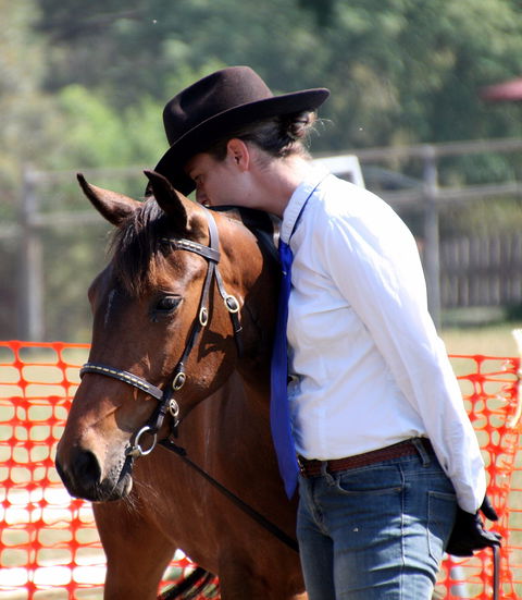 Dorrigo Agricultural Show - Palm Beach Accommodation 2