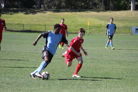 FFA National Youth Championships For Boys - Palm Beach Accommodation 2
