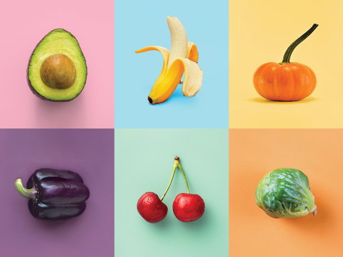 Food For Thought: Alternative Food Sources - Palm Beach Accommodation 0