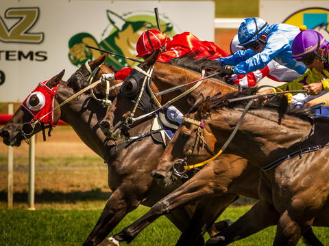 Foodies Race Day And Night Markets - Palm Beach Accommodation 1
